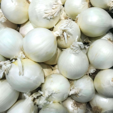 White Onion